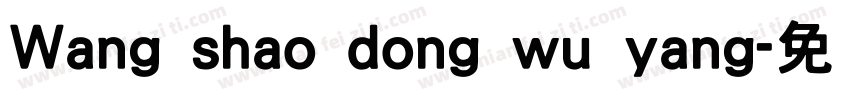 Wang shao dong wu yang字体转换